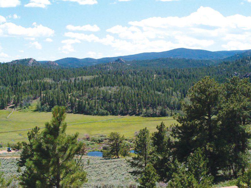 Property photo 25 - Get Lost in the Pristine Northern Colorado Rockies - Prime Building Sites